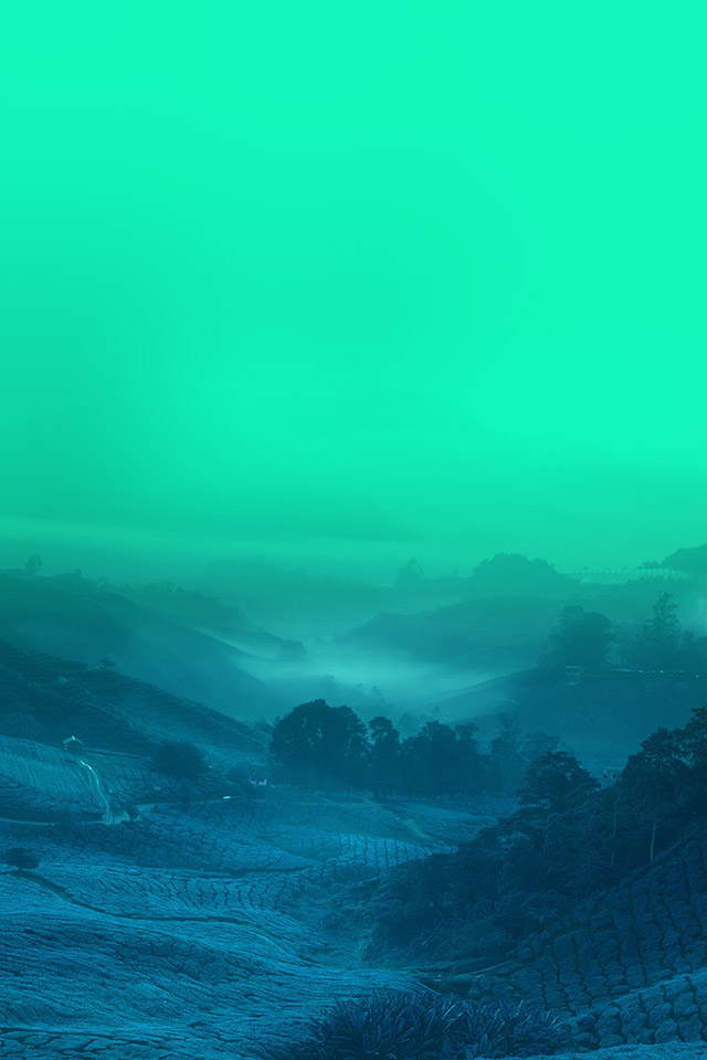 fondos de pantalla
