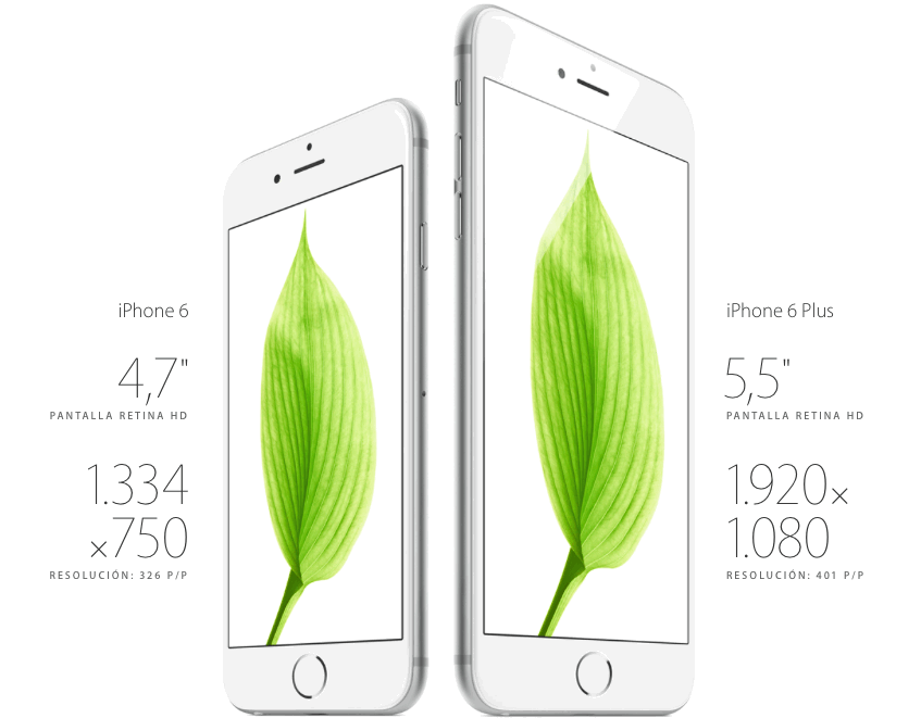 iPhone 6